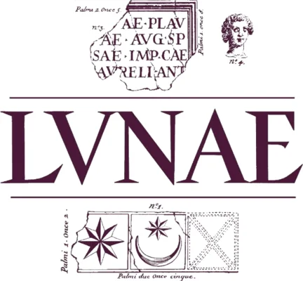 LVNAE