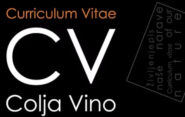 CV Colja vino