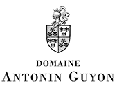 Antonin Guyon