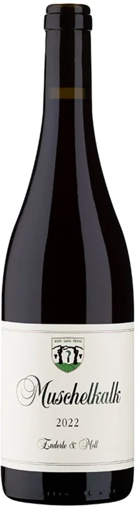 Vino Pinot Noir Muschelkalk 2018 Weingut Enderle & Moll 0,75 l