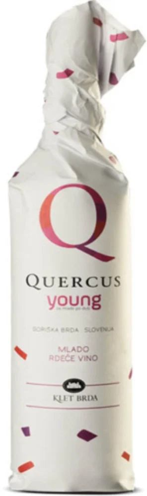Wine Merlot Young 2024 Klet Brda 0,75 l