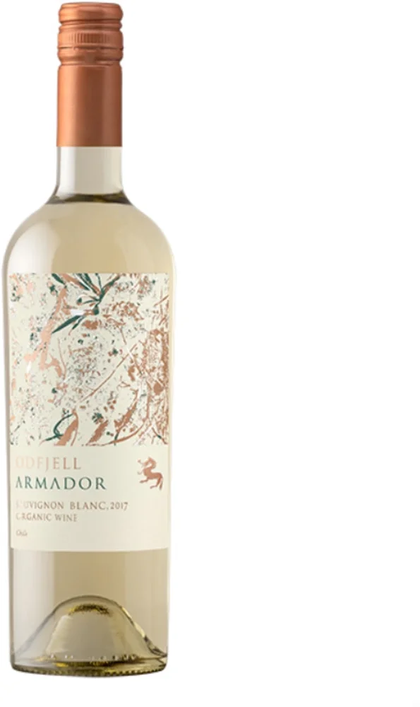 Wine Armador Cabernet Sauvignon 2018 Odfjell 0,75 l