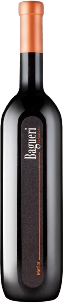 Vino Merlot Bagueri 2020 Klet Brda 0,75 l