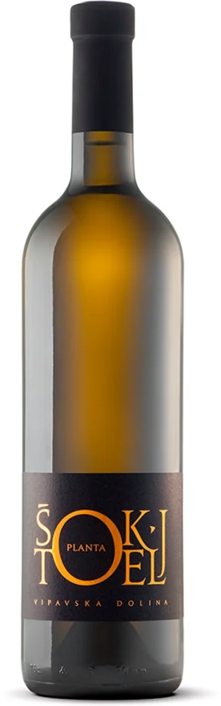 Vino Planta Bela Štokelj 0,75 l